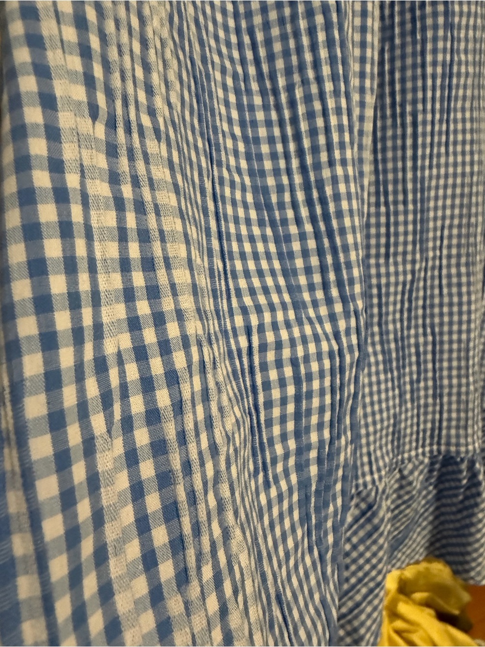 Sara Campbell Blue Gingham Ruffle-Neck Tank Top - Picture 7 of 10